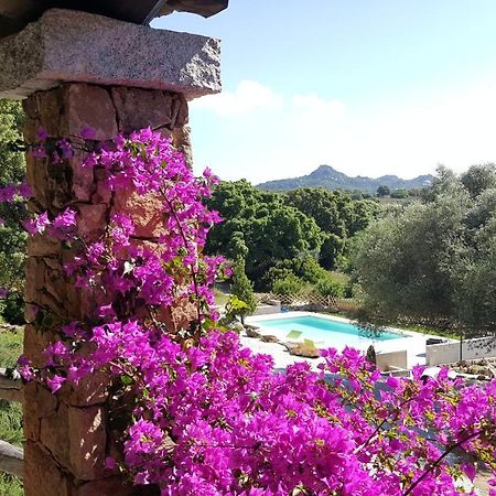 Agriturismo Desole Monti エクステリア 写真