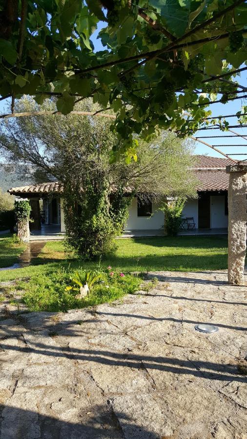Agriturismo Desole Monti エクステリア 写真