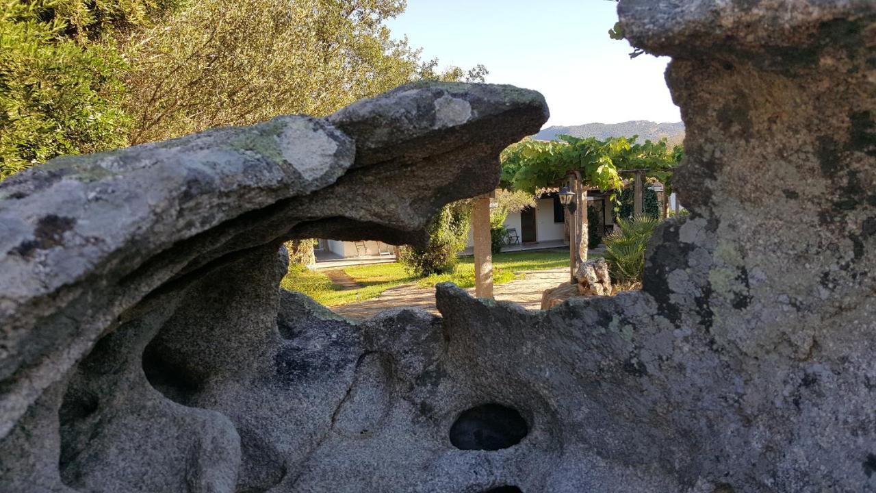 Agriturismo Desole Monti エクステリア 写真