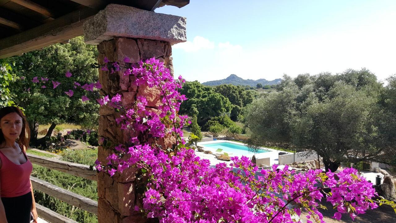Agriturismo Desole Monti エクステリア 写真