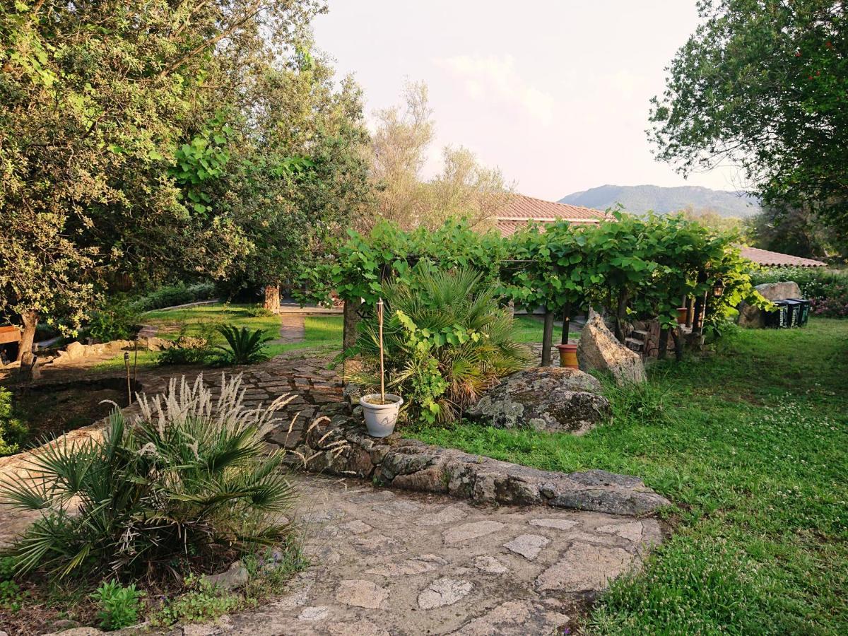 Agriturismo Desole Monti エクステリア 写真
