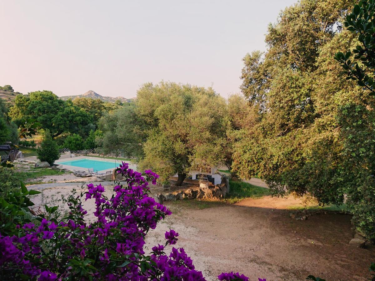Agriturismo Desole Monti エクステリア 写真